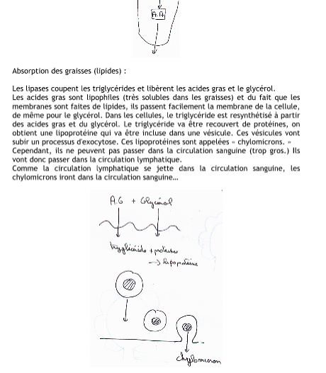 Pdf Pdf