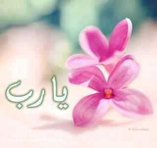 صور يا رب صور يا رب