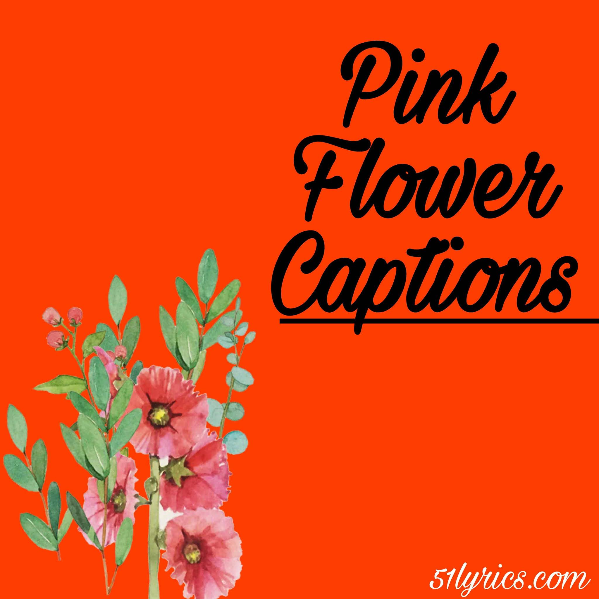 38+ Pink Flowers Captions for Instagram Best, Cute and lovely