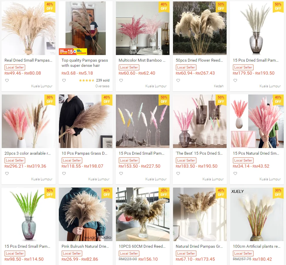 Where To Buy Pampas Grass