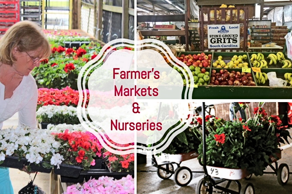 Hibiscus House FARMER MARKETS & NURSERIES