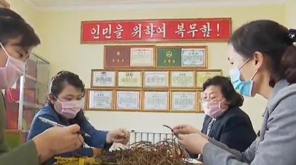 (1) Phyongchon Koryo Medicine Pharmaceutical Factory