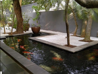 kolam minimalis