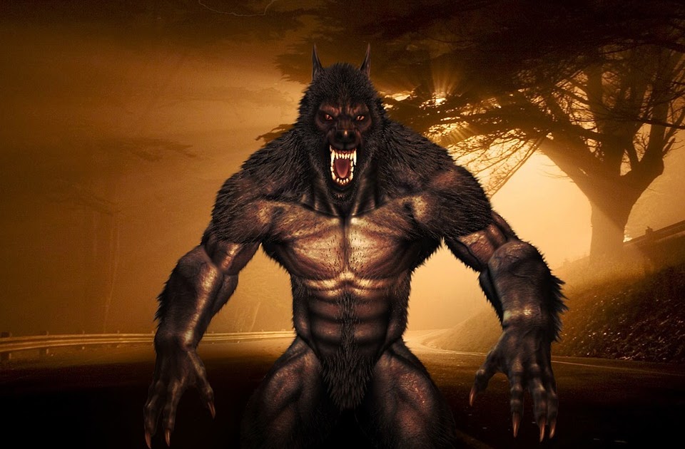 Magnus Latro Lycanthropie, le phénomène de l'hommeloup