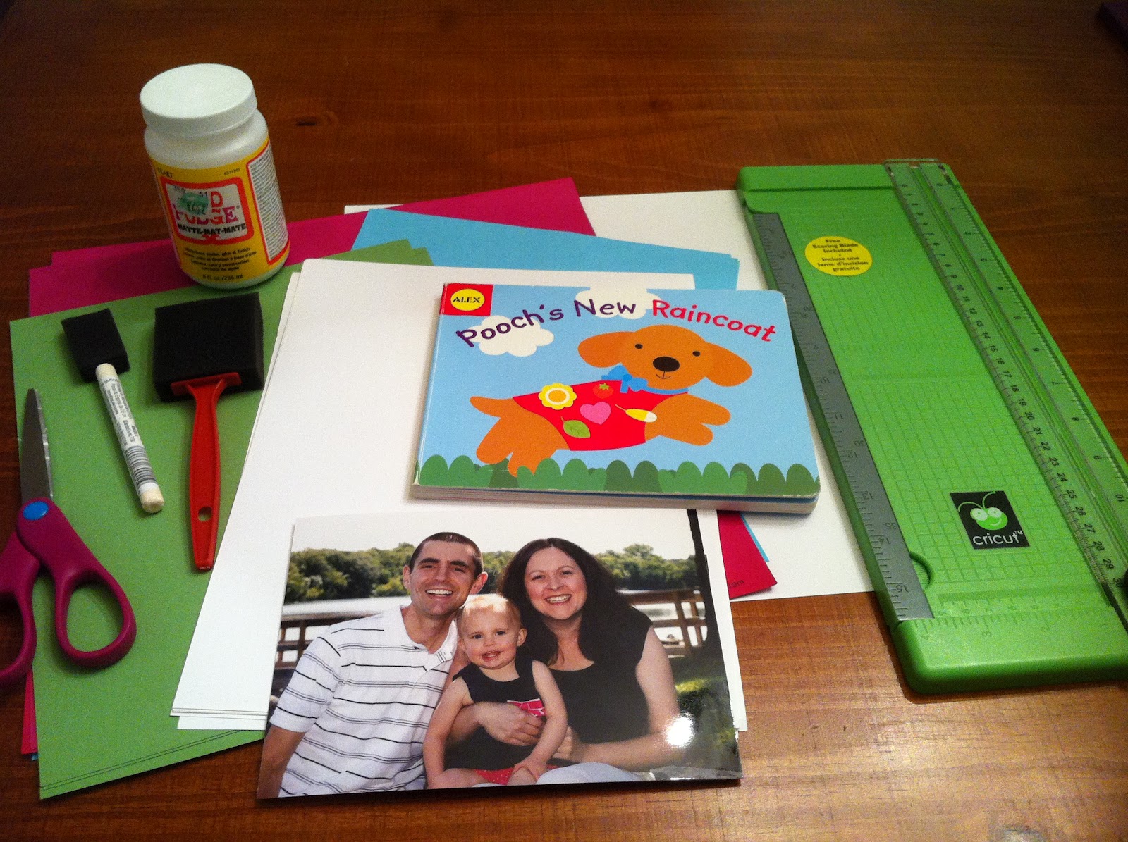 If I Can Do It, So Could You DIY My Family Board Book
