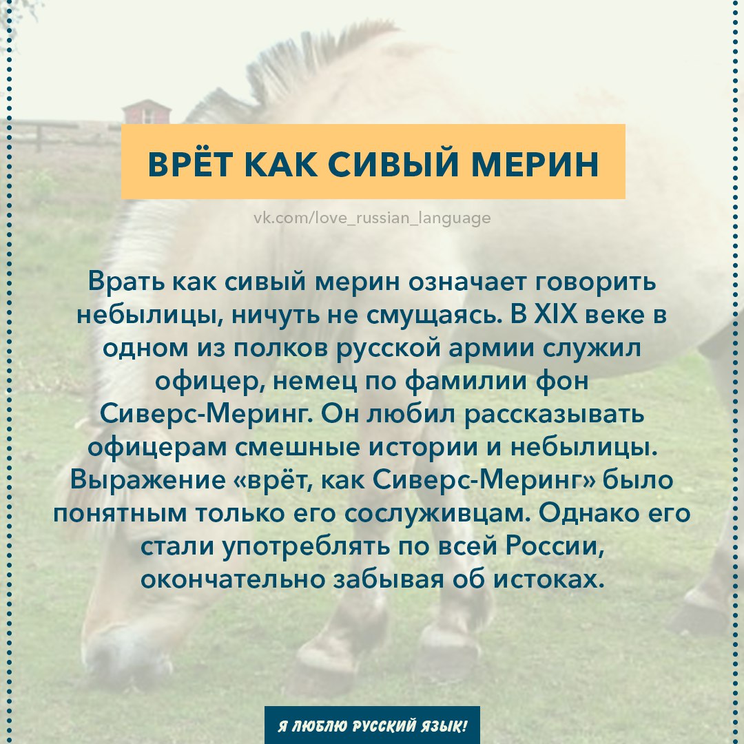 Упрямый баран. Глуп как сивый мерин. В. Глуп как сивый мерин. "глуп, как сивый мерин" кто скащал в ревизорре.