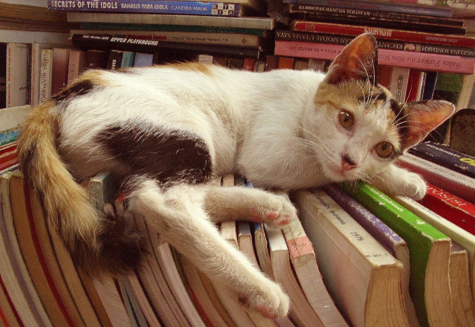 Mushollah Senirupa: pengawalan pembelajaran FSR(Fakultas Seni Rupa