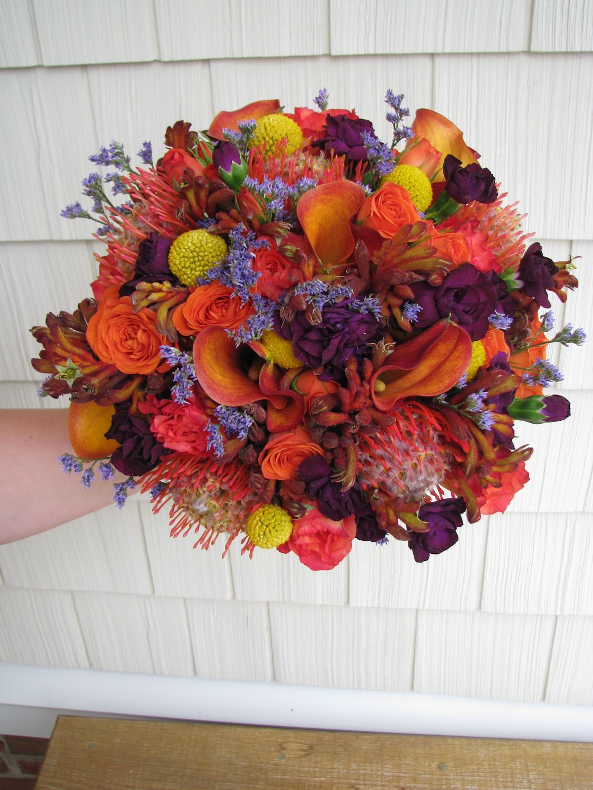 Violettas Orange, Purple and Burnt Orange