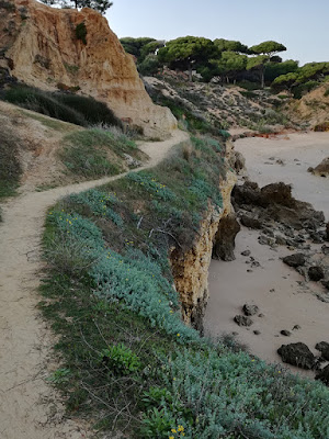 beach-algarve