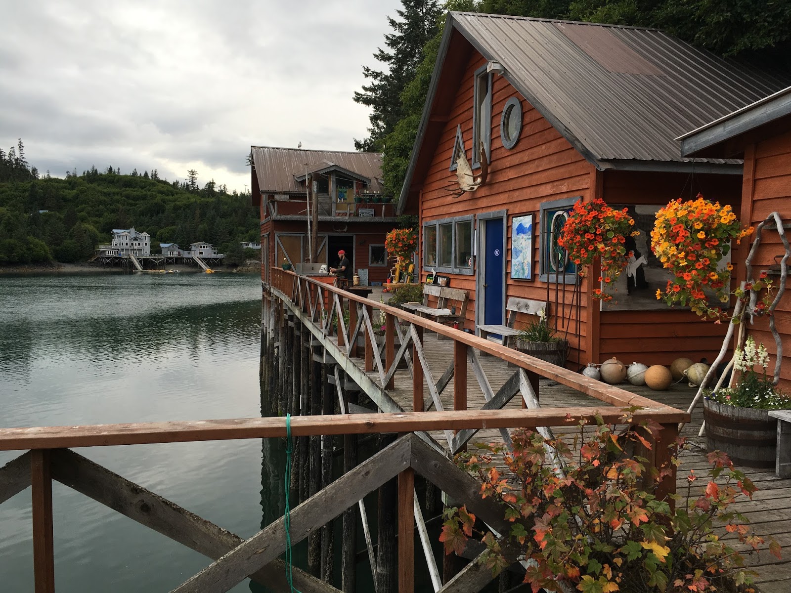 Life in Alaska — A View From Homer The Saltry and Danny JA Halibut