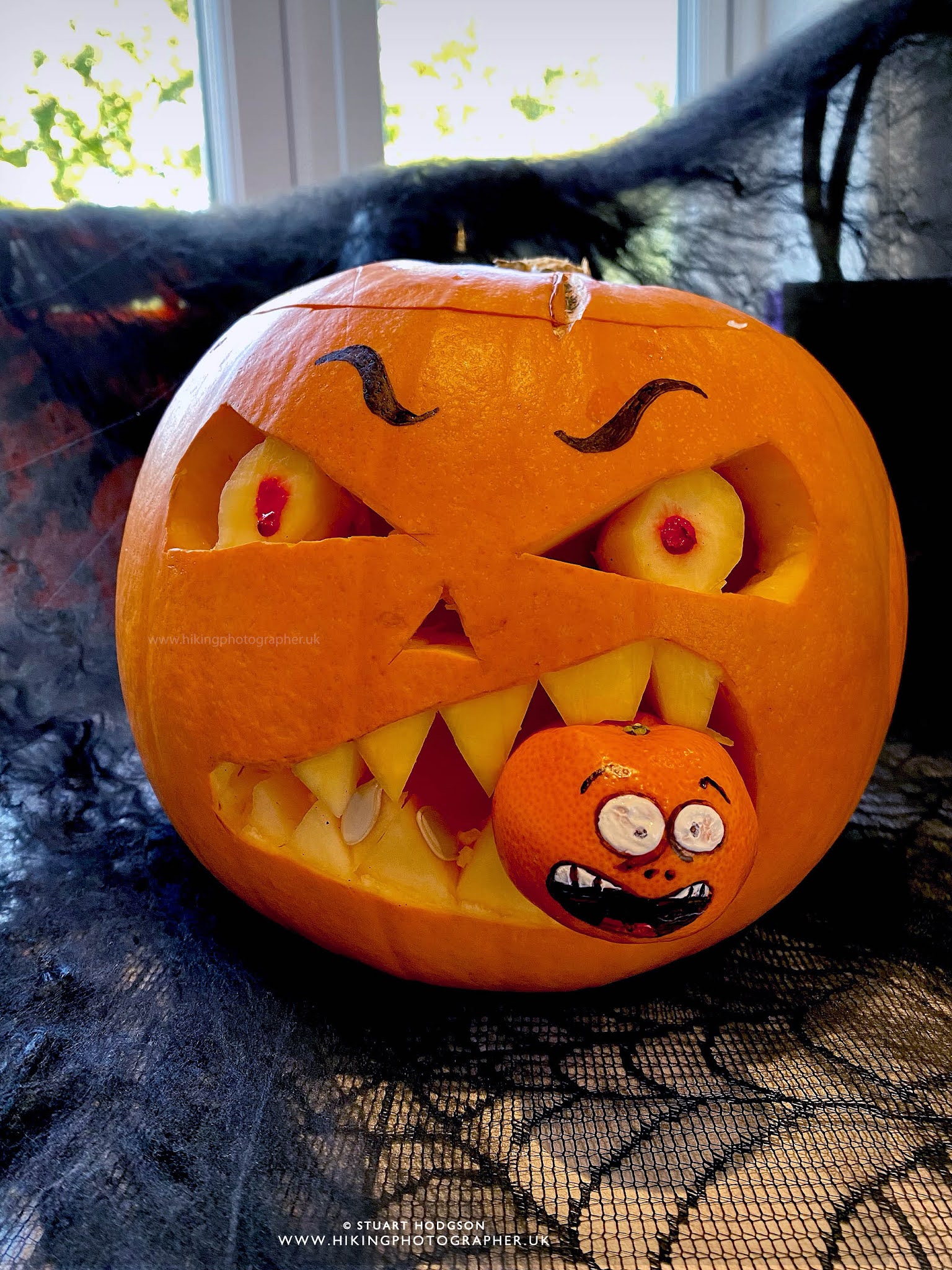 Best Pumpkin Carving Ideas For Halloween - 5 Quick & Scary Pumpkin Face  Designs | The Hiking Photographer