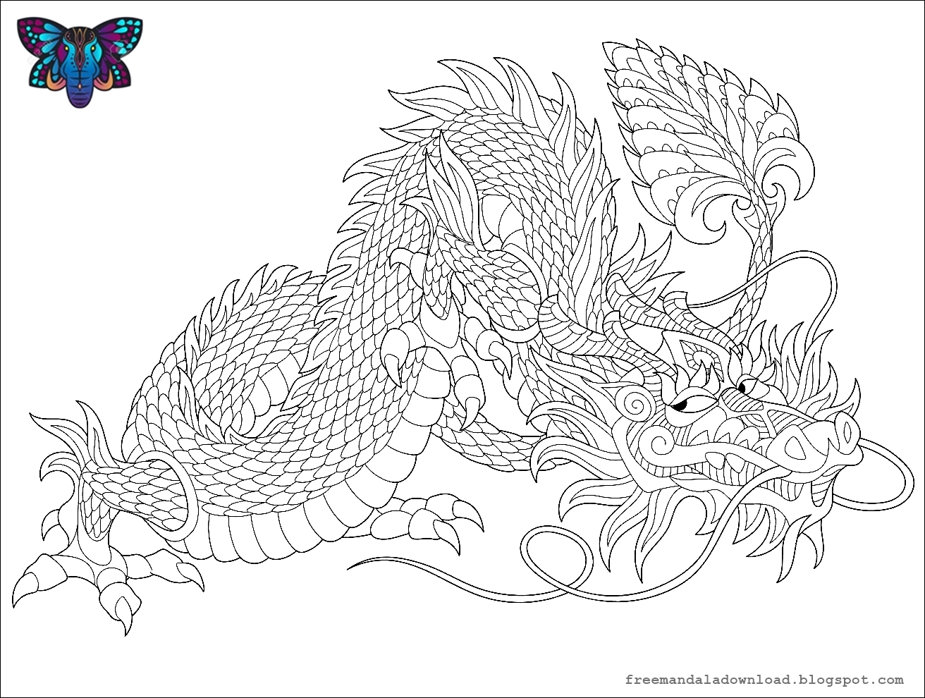 Drachen Mandala Malvorlagen