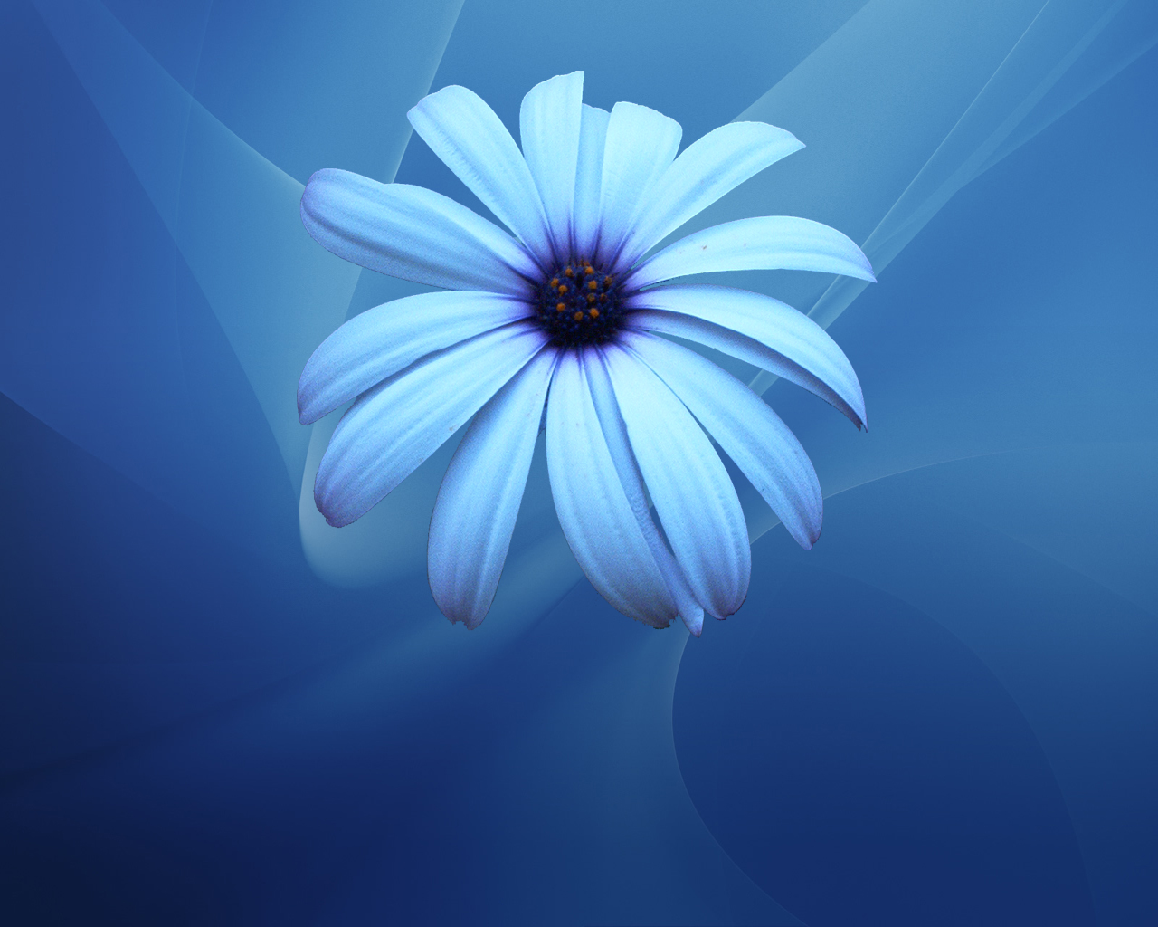 Blue Flower Wallpapers - asimBaBa | Free Software | Free IDM Forever