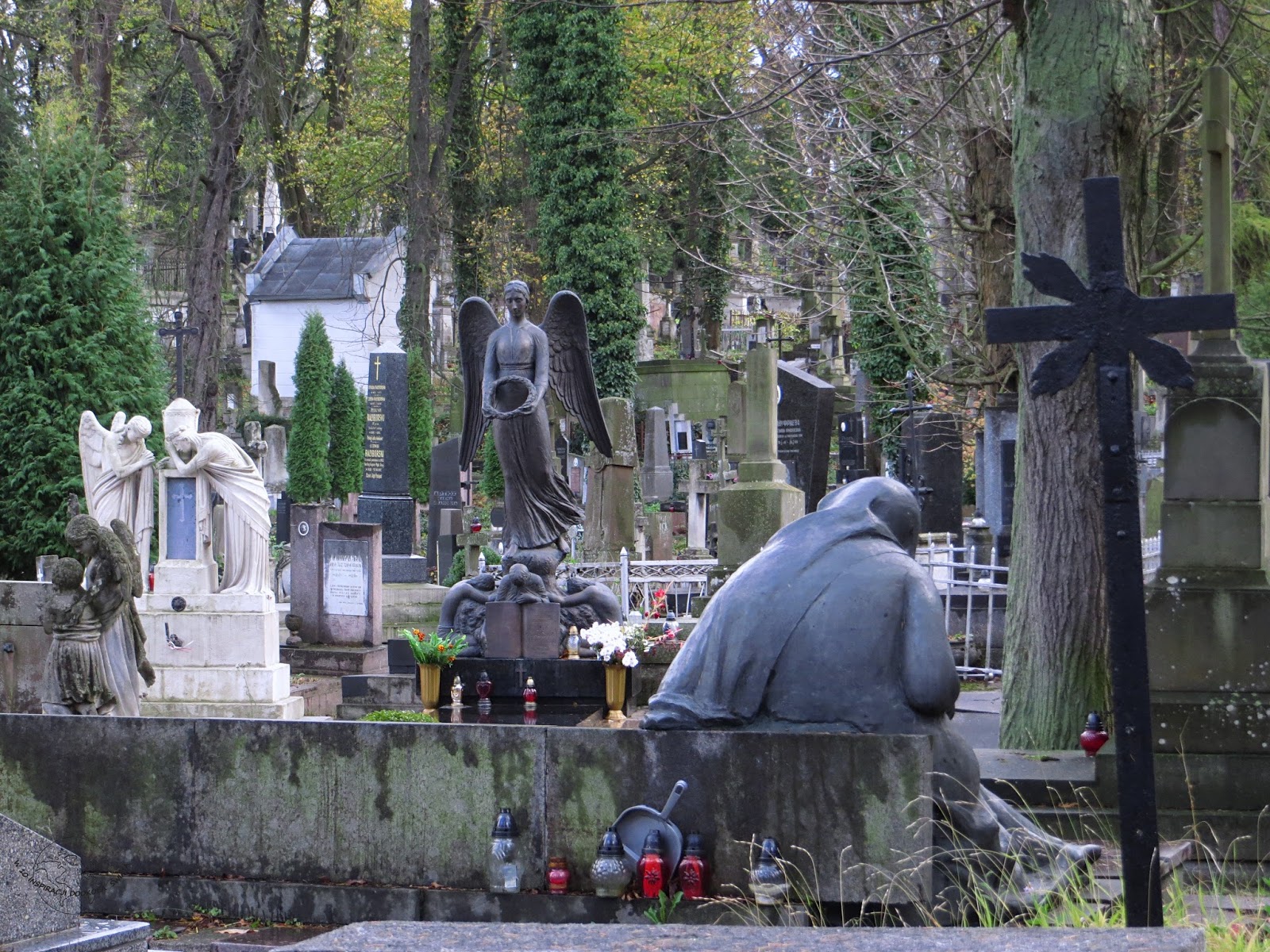 Cmentarz Łyczakowski, Lwów