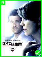 GREY'S ANATOMY (1ª TEMPORADA)