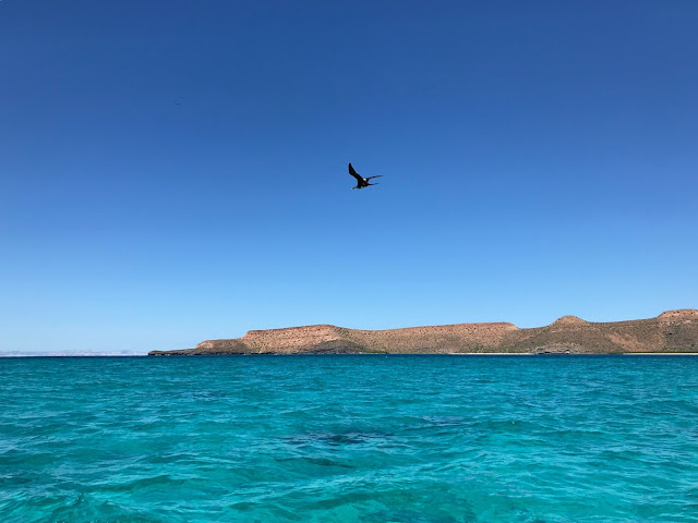 Isla Espiritu Santo Mexico