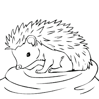 Hedgehog coloring page 2