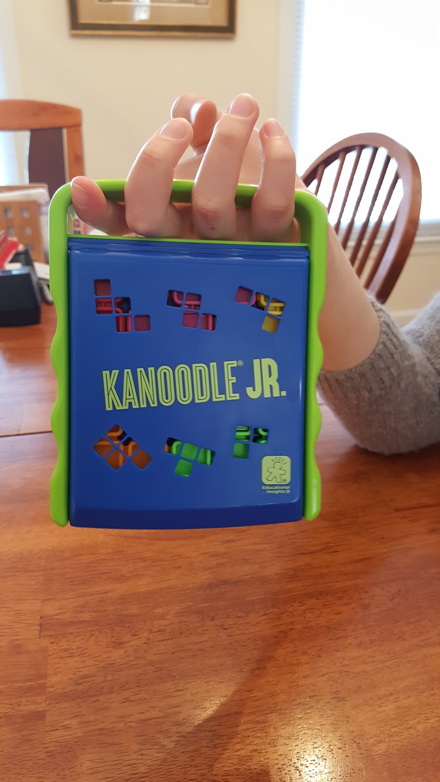 Kanoodle Genius Educational Insights