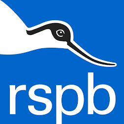 My chosen charity - RSPB : Royal Society for the Protection of Birds