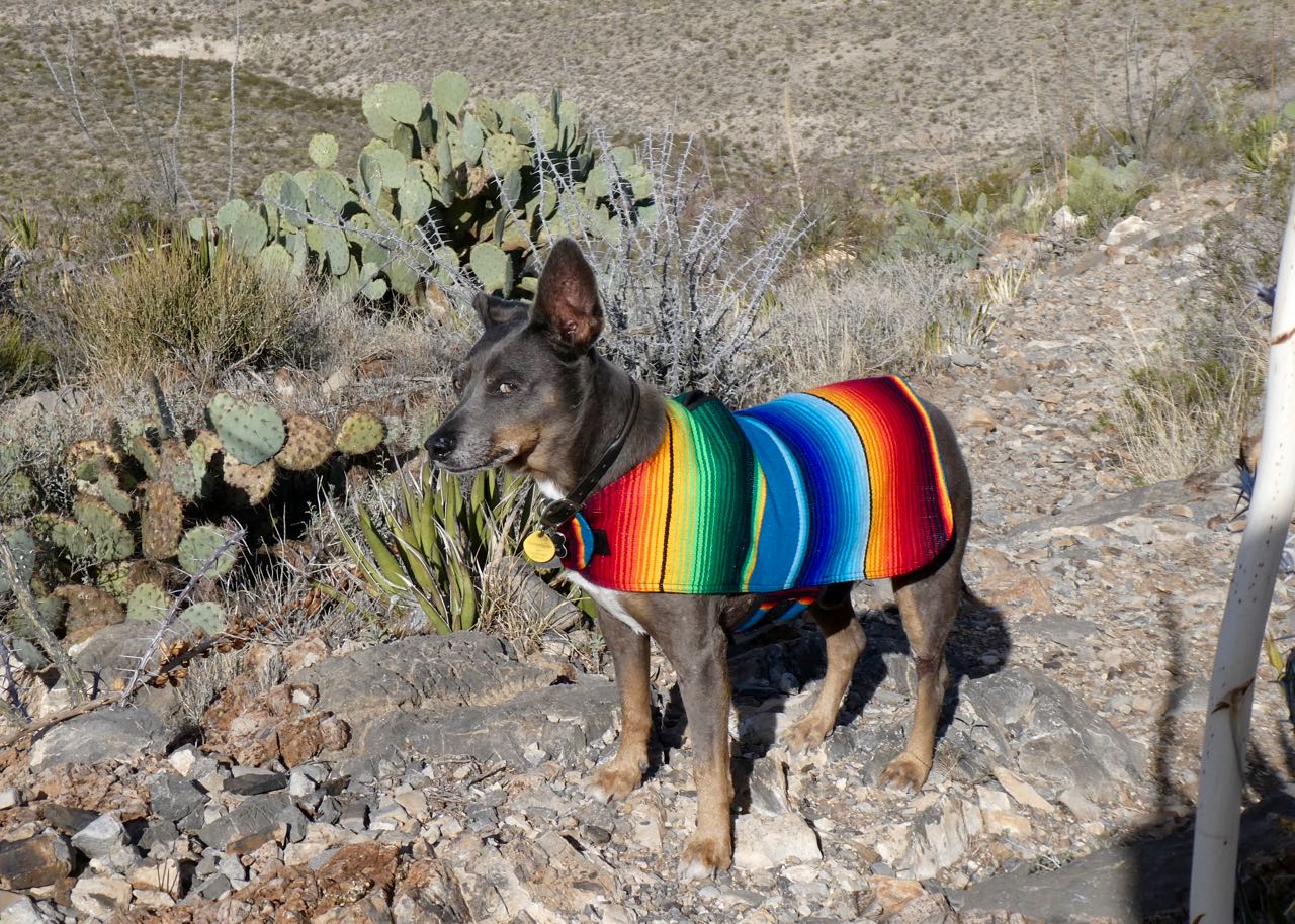 Greg's Running Adventures Ten Years of Blogging