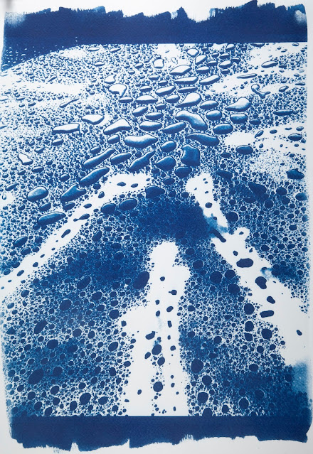 5 Frames With a Liquid Cyanotype Kit on Fluid Cold Press Finish  Watercolor Paper - EMULSIVE