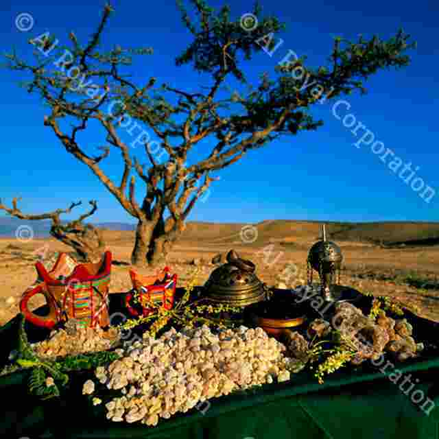 Frankincense | AlRoyal Corporation - Oman