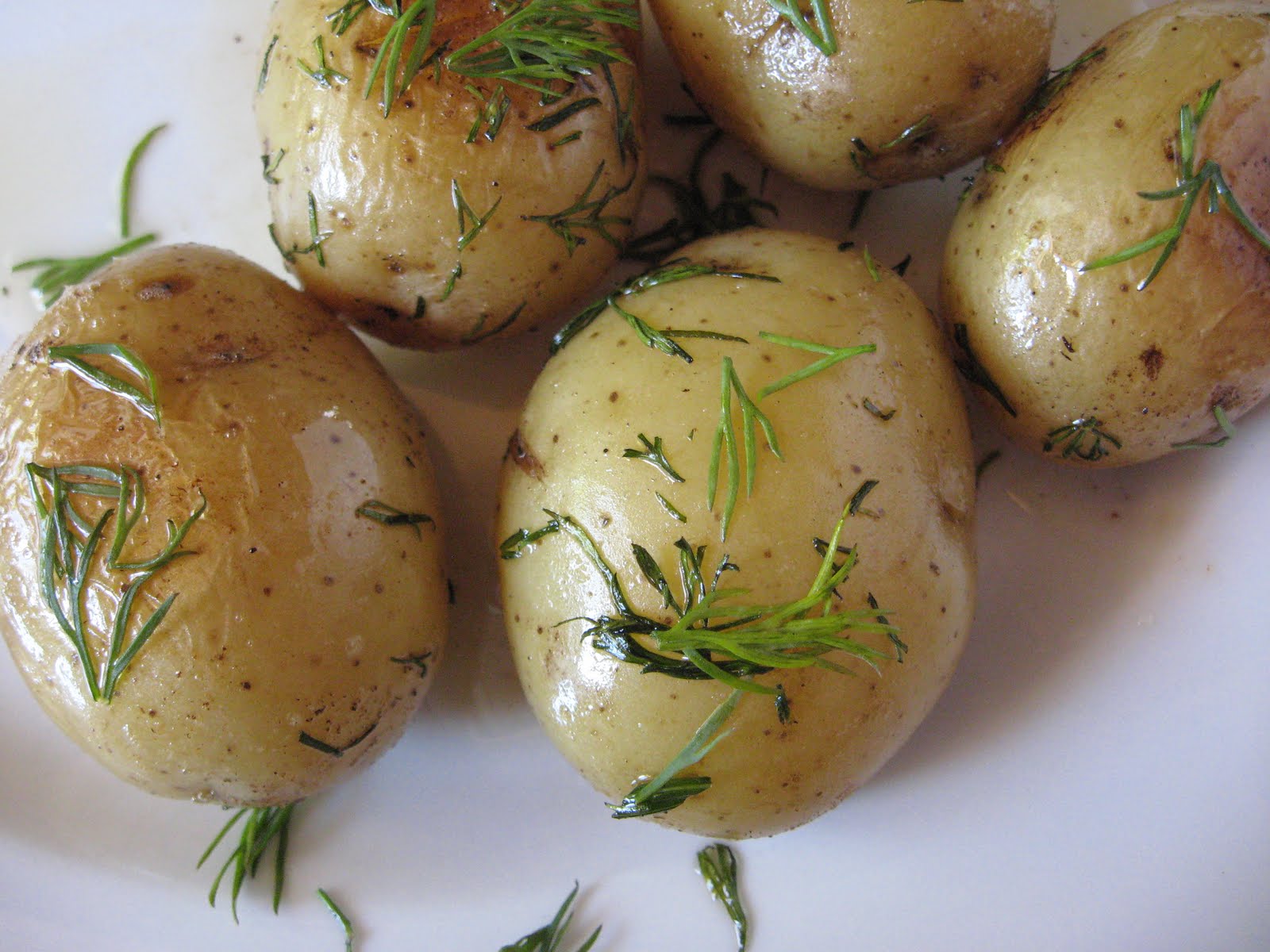 she's in the kitchen: smashed potatoes with fresh dill and ... she's in the kitchen: smashed potatoes with fresh dill and ...