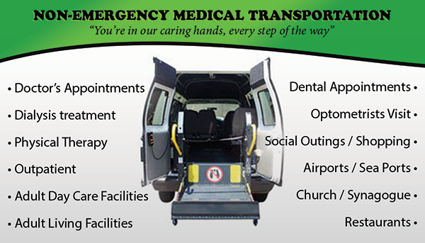 non emergency medical transportation business plan sample