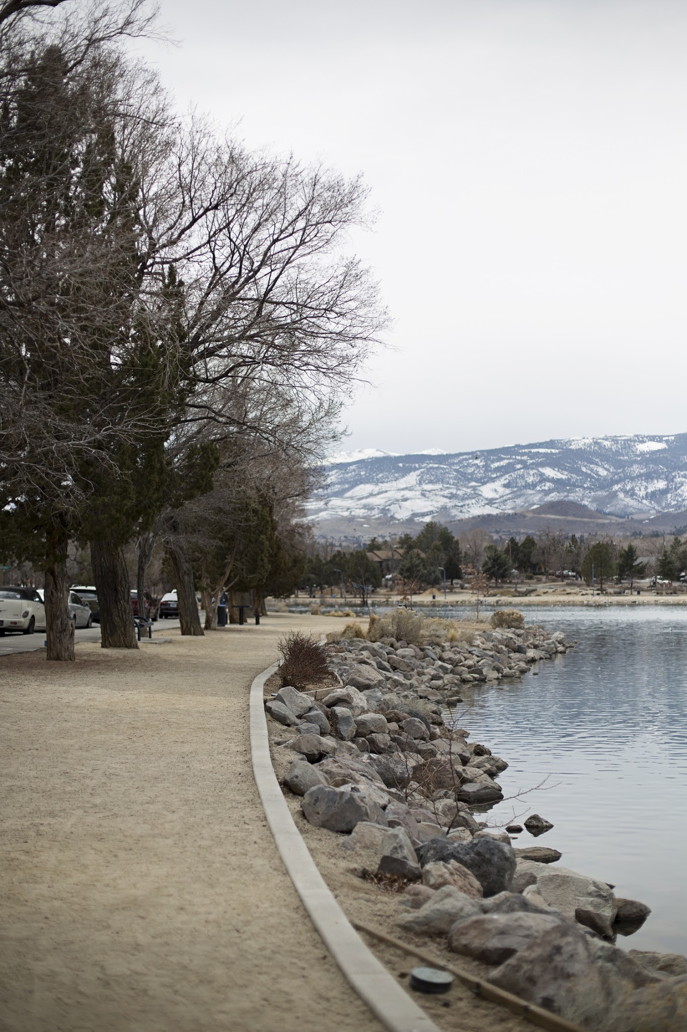 Loving Reno