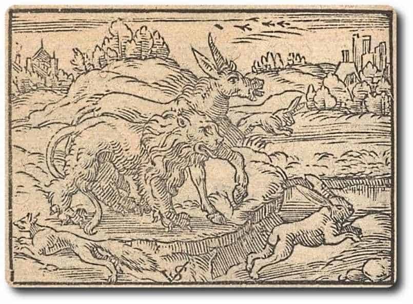 Der Löwe der Esel und der Fuchs Teilung AVENTIN Blog