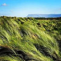 Pictures of Ireland: A windy view of Benbulben