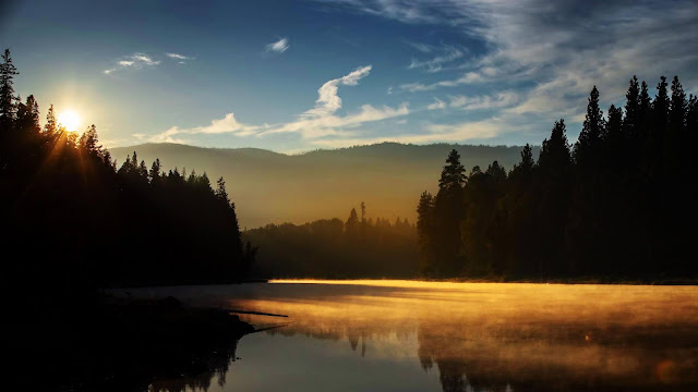 Lake Forest Screen Background Peaceful tranquil landscape Lake Forest Screen Background Peaceful tranquil landscape