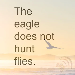 The eagle does not hunt flies. African proverb lesson.