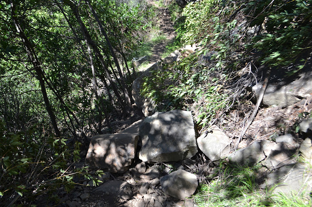 rocks on trail