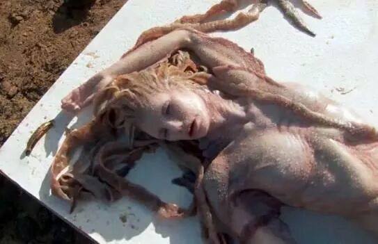 Lại xuất hiện xác người cá xinh đẹp trên bờ biển Tây Ban Nha