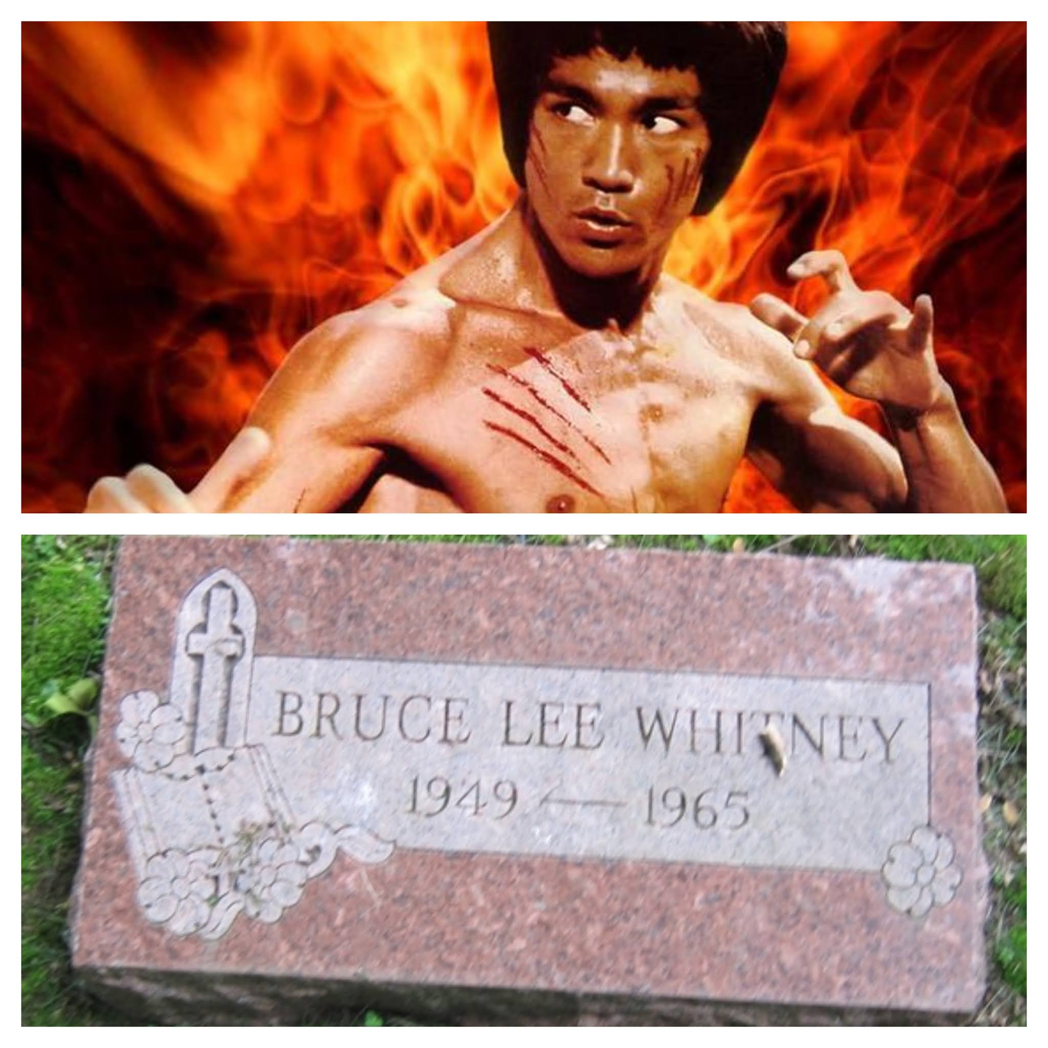 My Diary Real Story Of Bruce Lee S