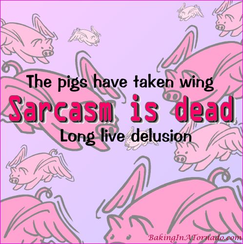 Sarcasm is Dead. Long Live Delusion. | Graphic designed by and property of www.BakingInATornado.com | #MyGraphics #humor