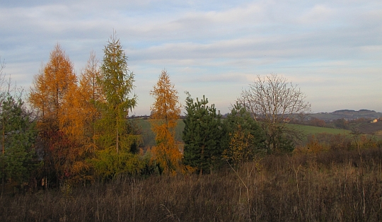 Ponad doliną Stradomki.