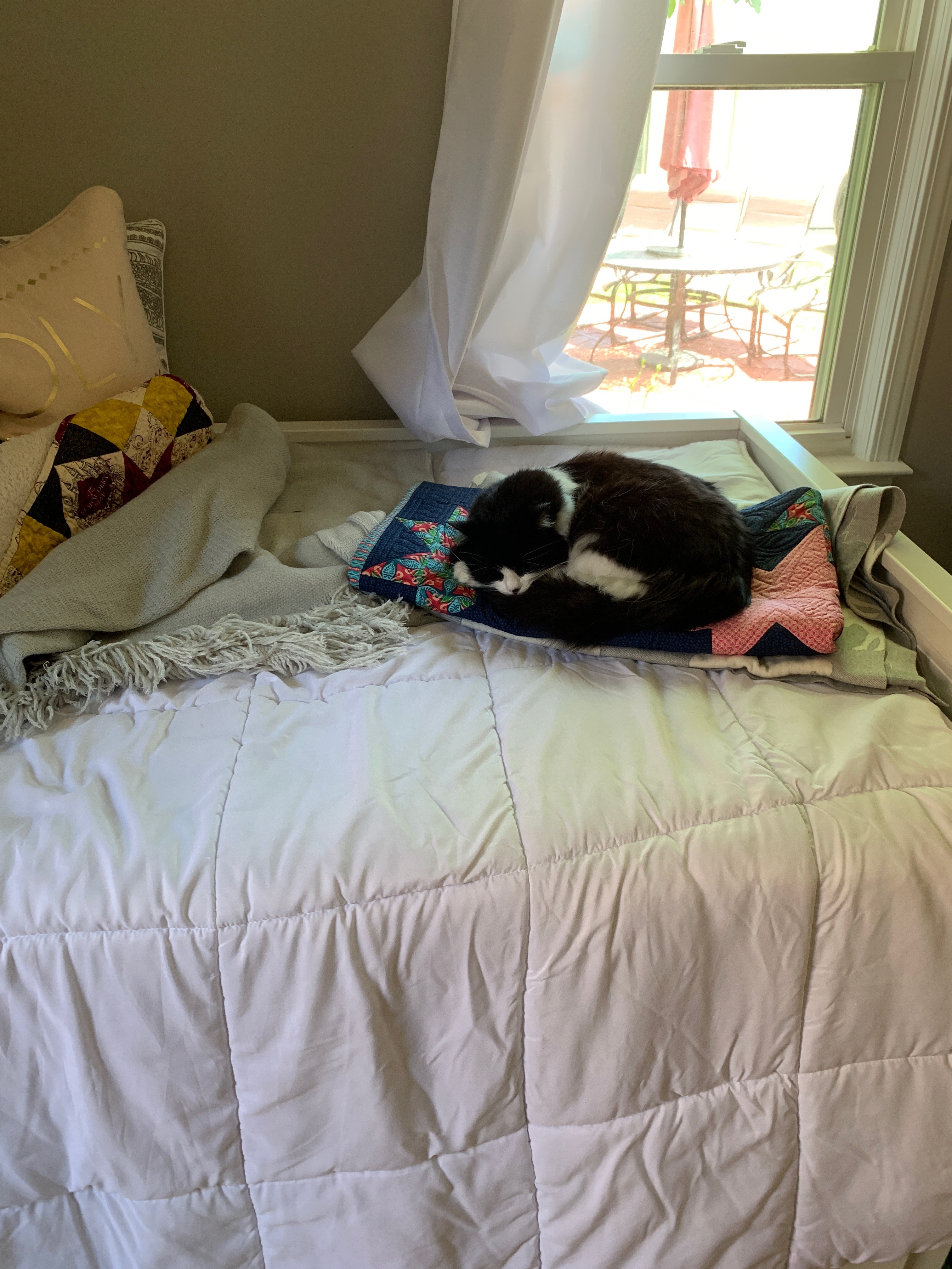 Musings of a Menopausal Melon mmm quilts Cat Mats Installment 2 of 3