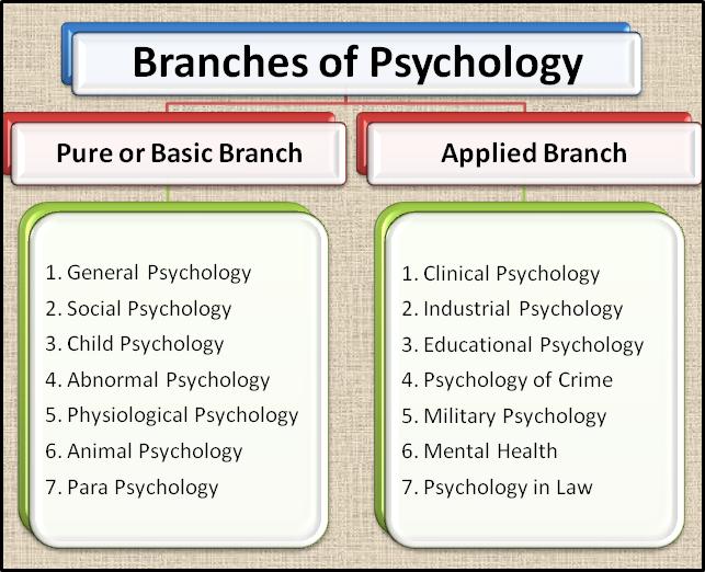 Branches Of PsychologyOscar Education