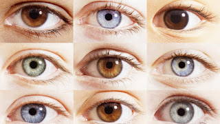 Researchers Explain What The Color Of Your Eyes Says About Your Personality