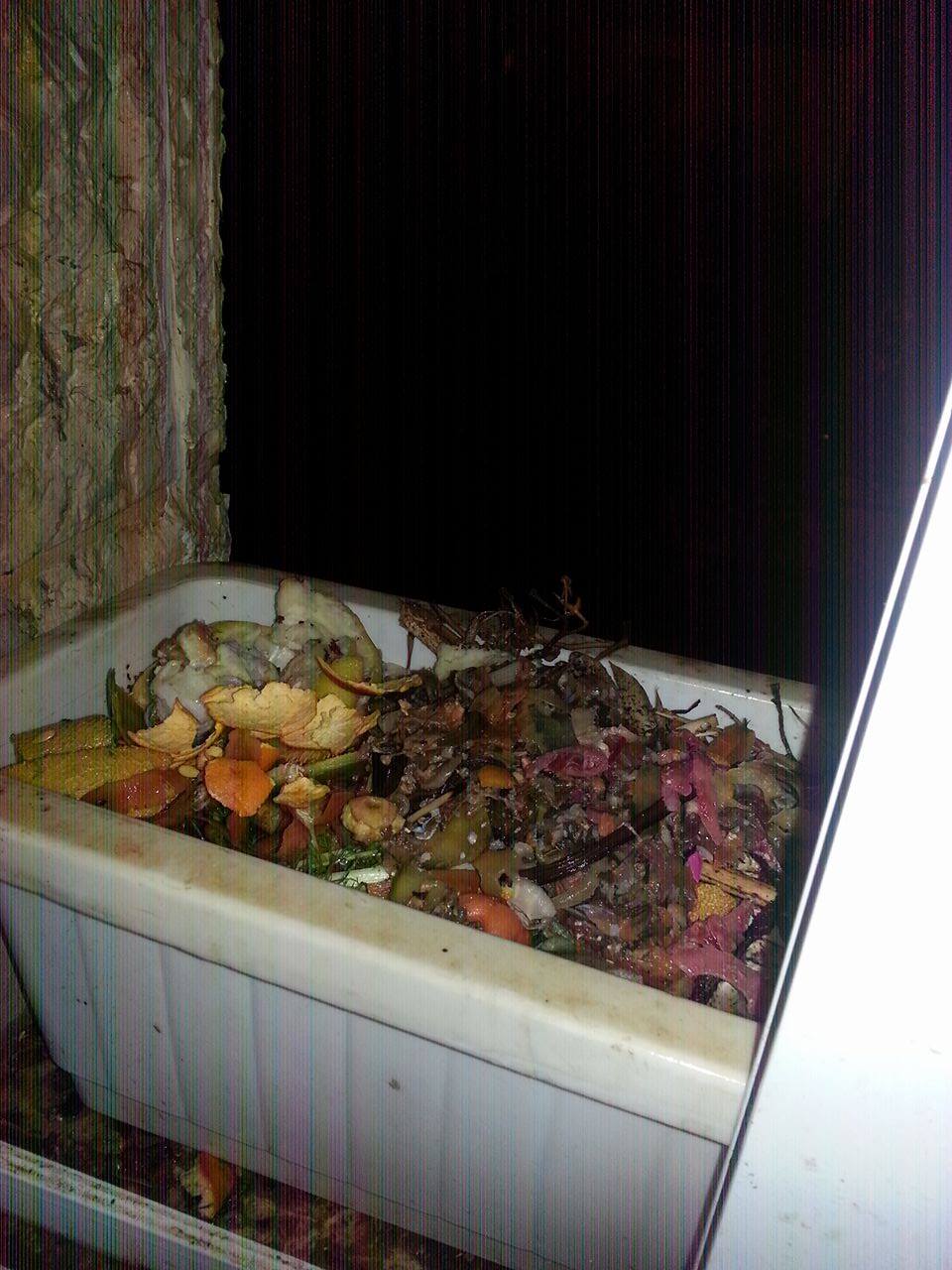Apartment Composting With No Yard No Porch And No Worms