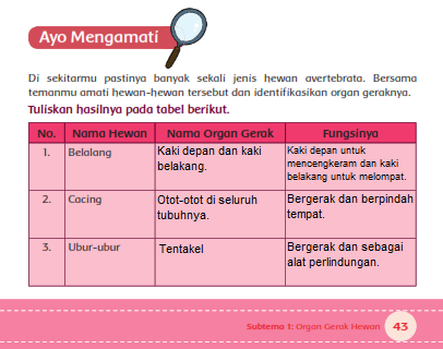15++ Alat gerak ubur ubur dan fungsinya ideas in 2021 