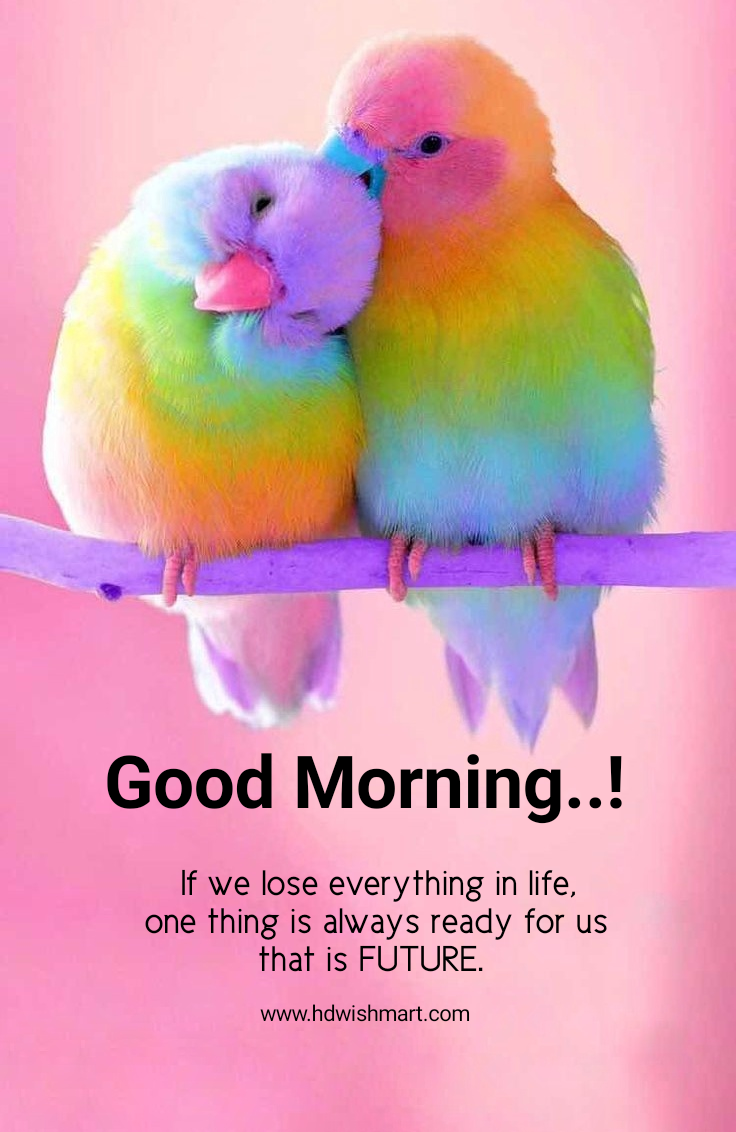 Inspirational Morning Quotes Good Morning Status