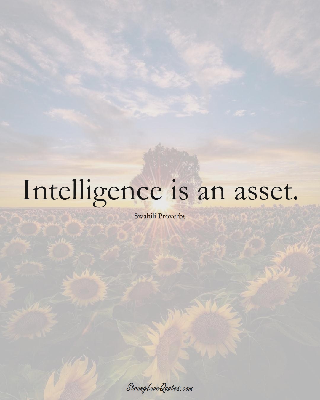 Intelligence is an asset. (Swahili Sayings);  #aVarietyofCulturesSayings