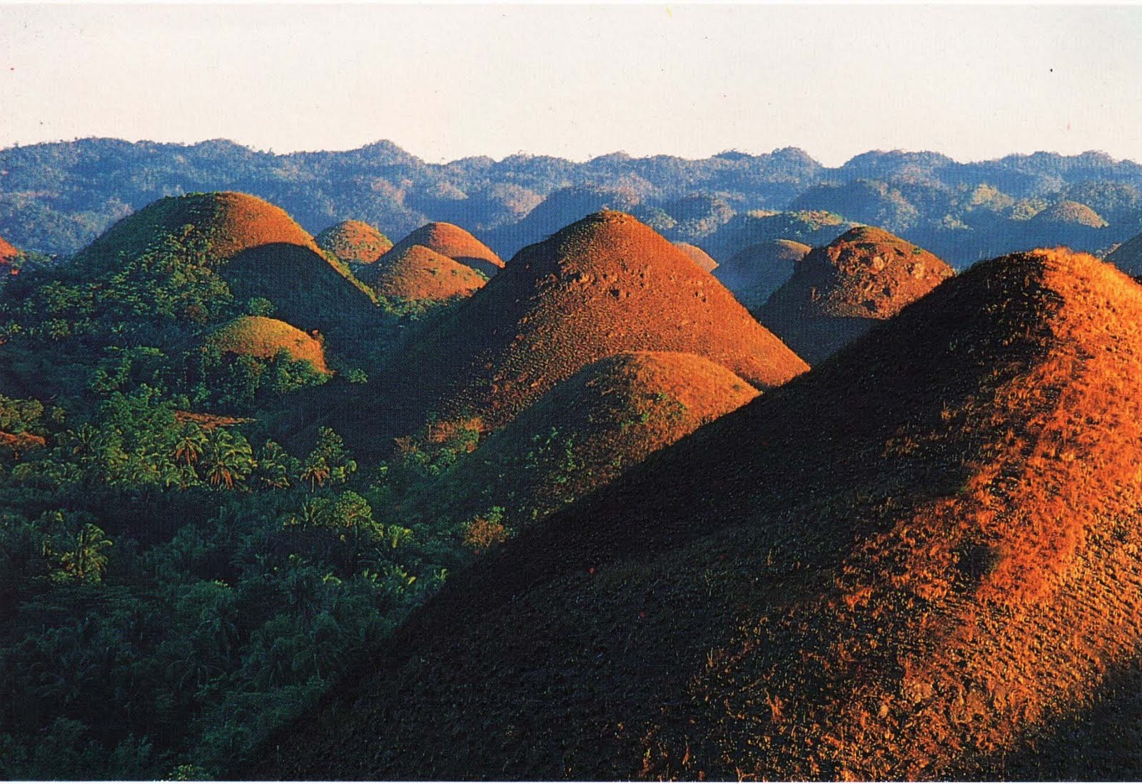 Chocolate Hills cool places such as mountain brown LET'S TRAVEL