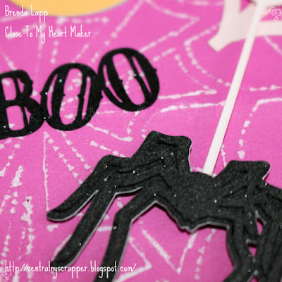 close-up of Spider & Boo with Black Shimmer Brush