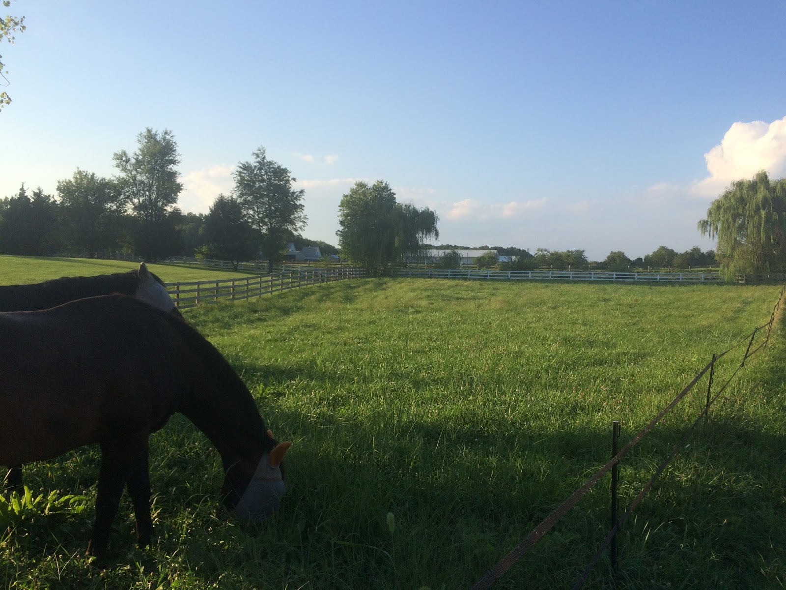 Building & Managing the Small Horse Farm Rotational Grazing Schedule