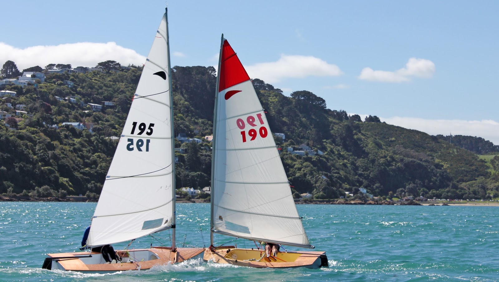 Earwigoagin New Zealand Zephyr Singlehander Dinghy