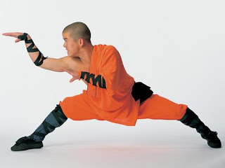 kung-fu-wushu-o-estilo-louva-a-deus